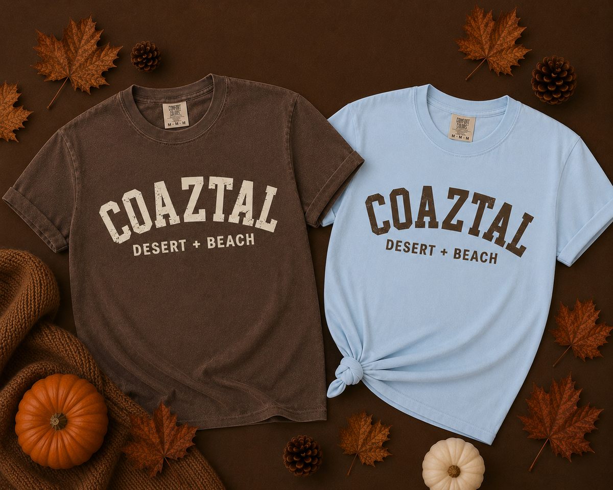 Varsity Tee- Coaztal Blue + Washed Brown