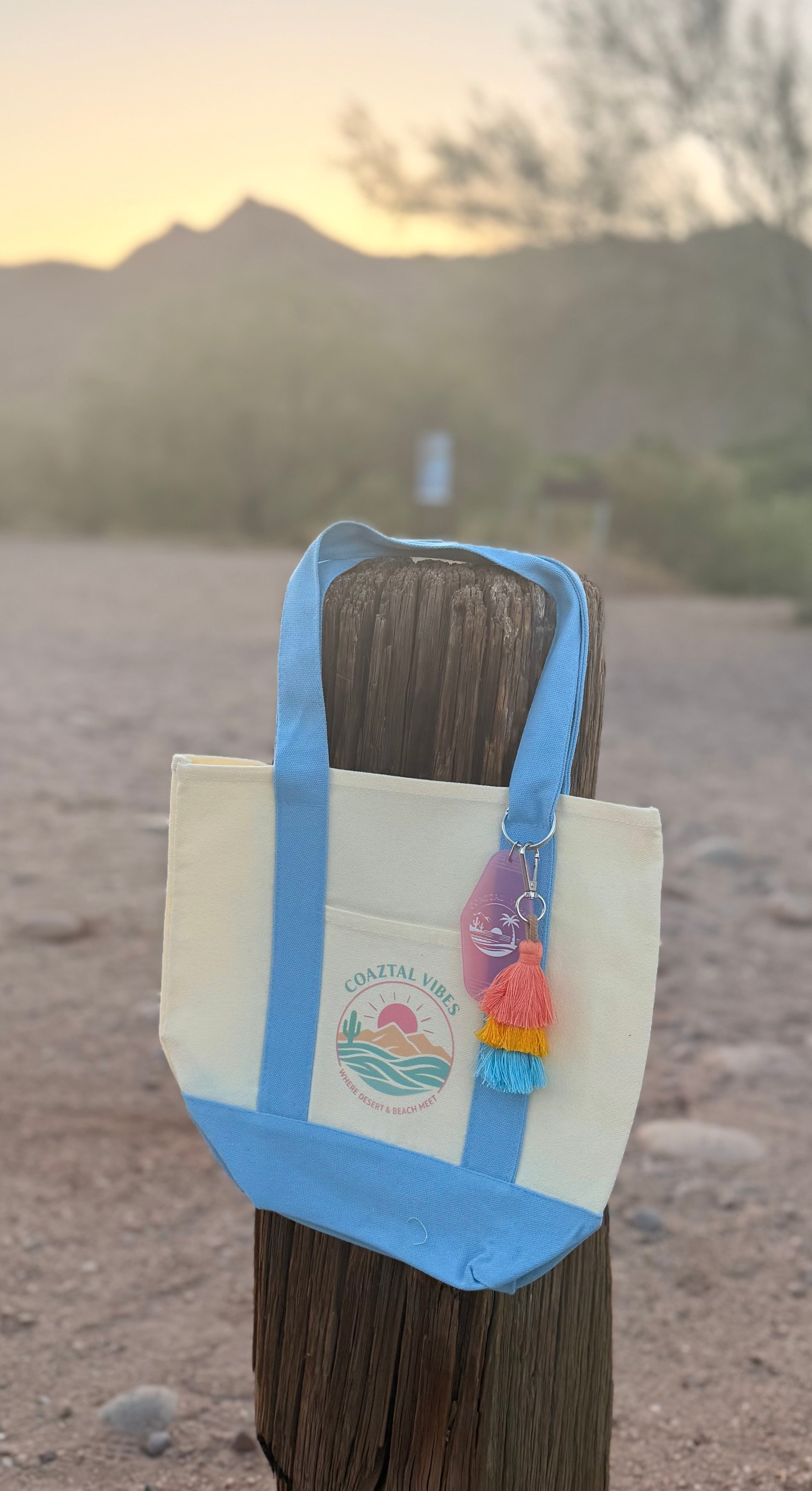 Sky Blue Tote